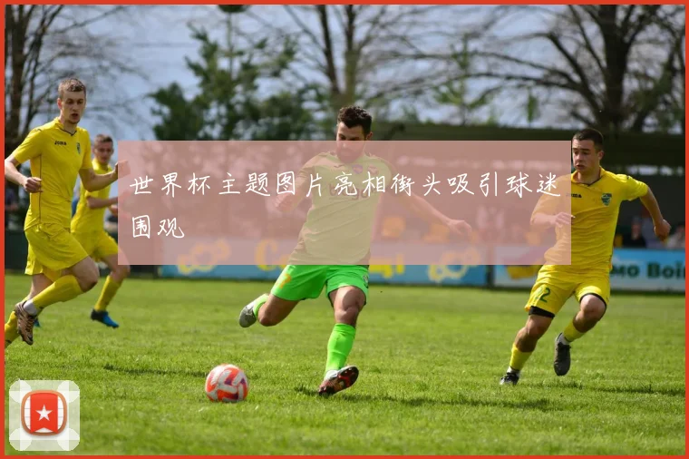 世界杯主题图片亮相街头吸引球迷围观