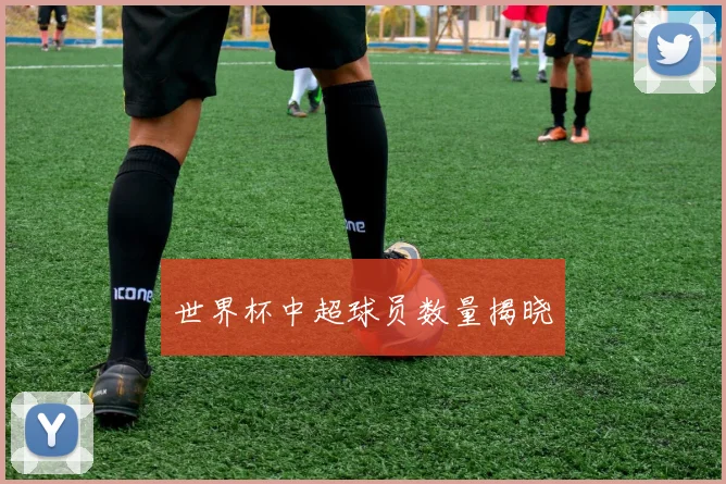 世界杯中超球员数量揭晓
